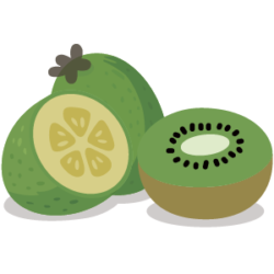 六格_feijoakiwi